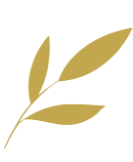 消息正文 - KAIYUN开云体育APP